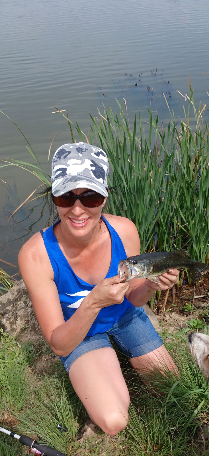 Stella1979 Stella1979