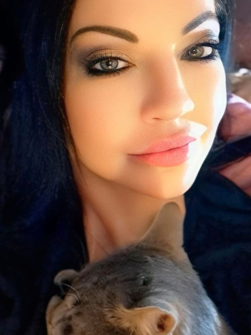 Laisseraller82 Laisseraller82