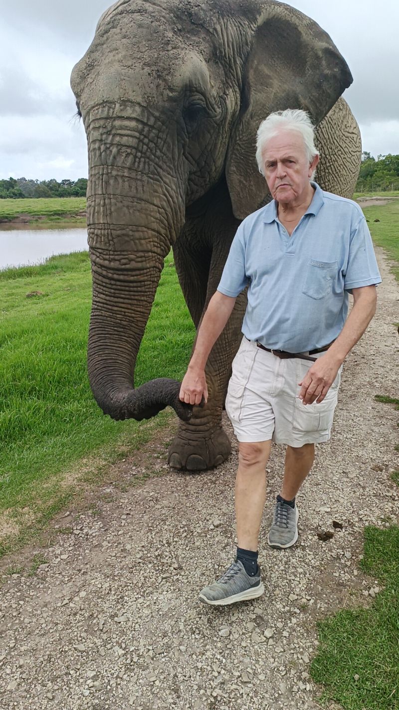 Disnetek56 Disnetek56