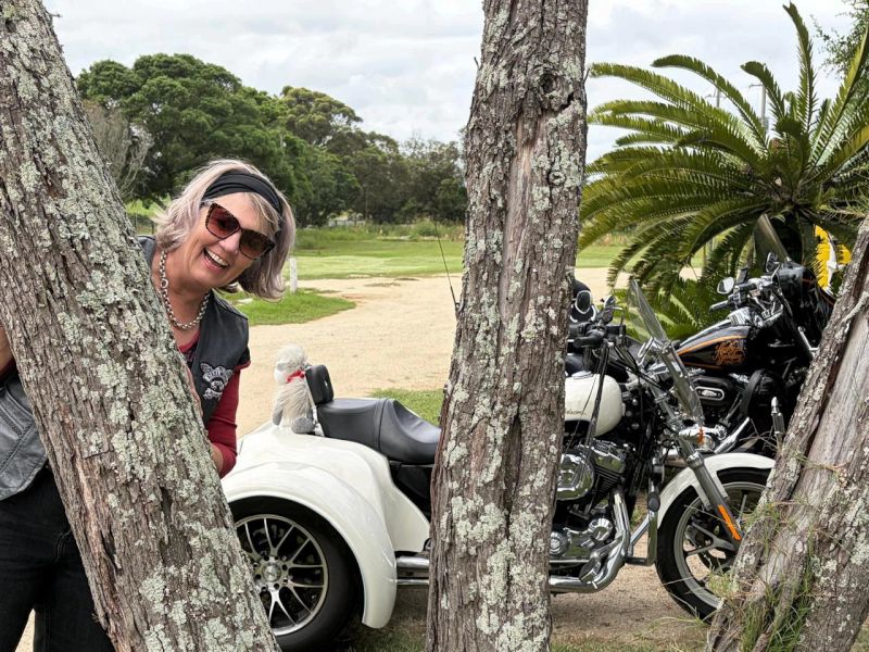 Fleuristelll Fleuristelll